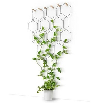 Plant Support